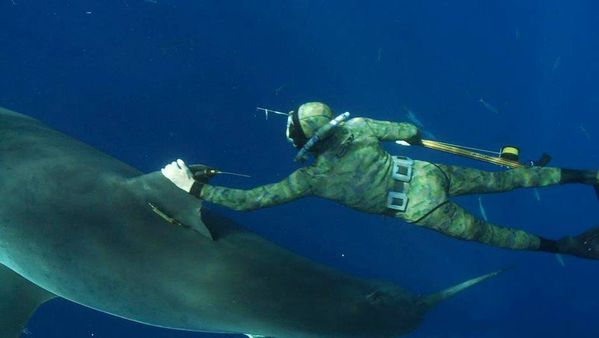 Rencontre inde