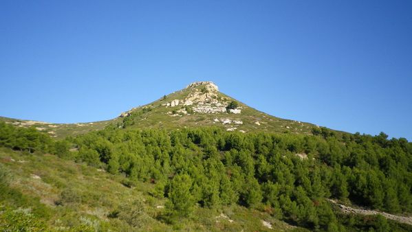 10--Grande-tete-rouge.JPG