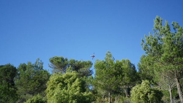 36--sous-la-ronde-des-Trackers.JPG