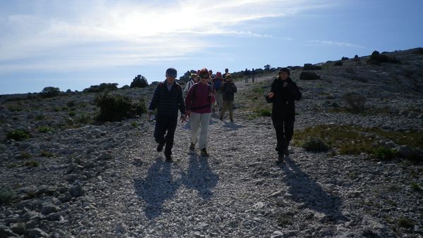 IMGP2006--FILEminimizer-.JPG