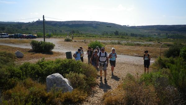 2-copie-1.JPG
