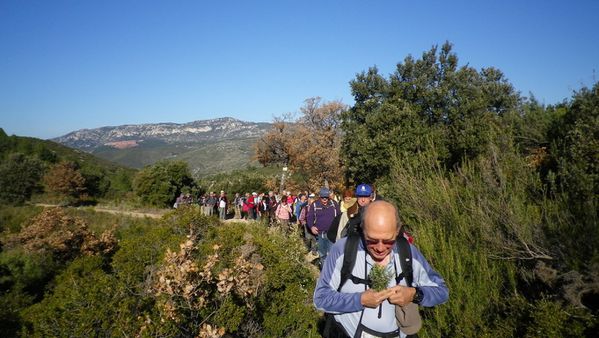 8--le-sentier-de-droite.JPG