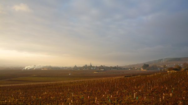photos janvier 2010 (3)