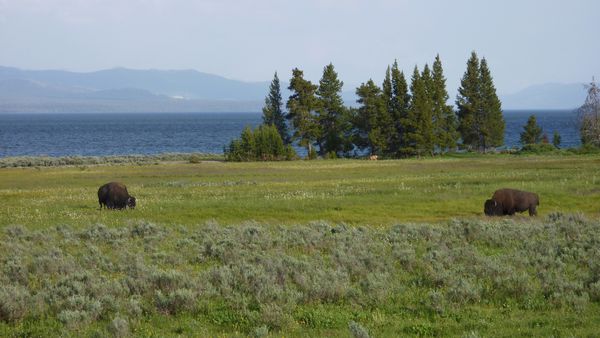 Jour 10 Yellowstone Tatankas hôtel