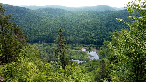 Parc-de-la-Jacques-Cartier-riviere-a-l-Epaule.jpg