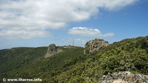 MonteArci---Trebina-Longa---Lada.jpg