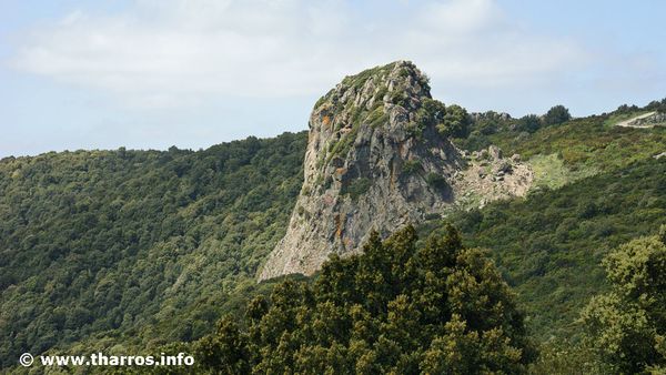 MonteArci