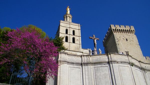 163 Avignon, Palais des Papes, Notre-Dame des Doms