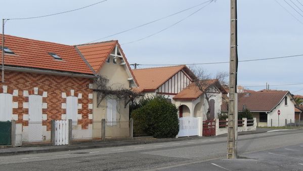 vieux-marche6.jpg