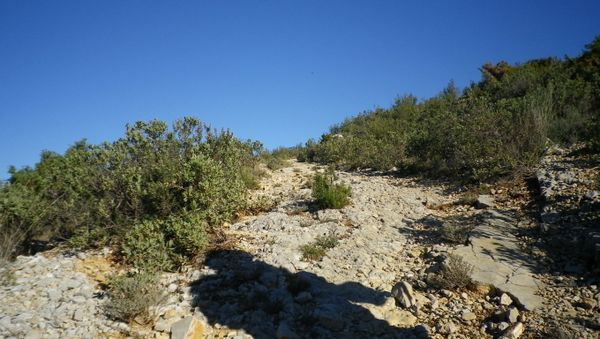 on-quitte-la-piste--JPG
