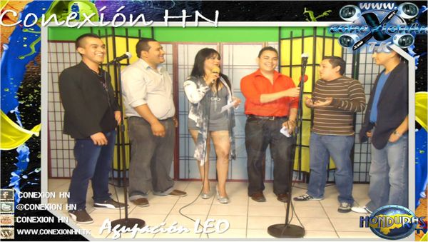 conexion HN TV