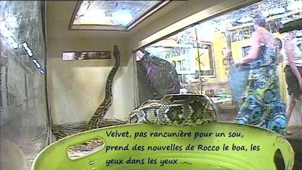 samedi-1302-tete-a-tete-avec-rocco.jpg