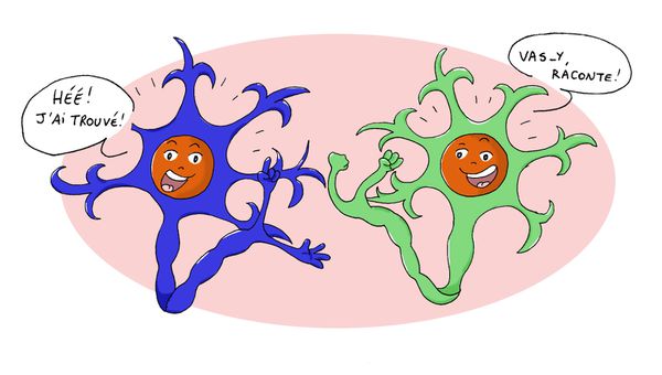 neurones2