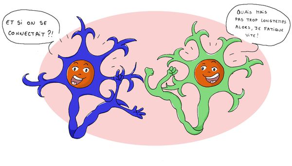 neurones3