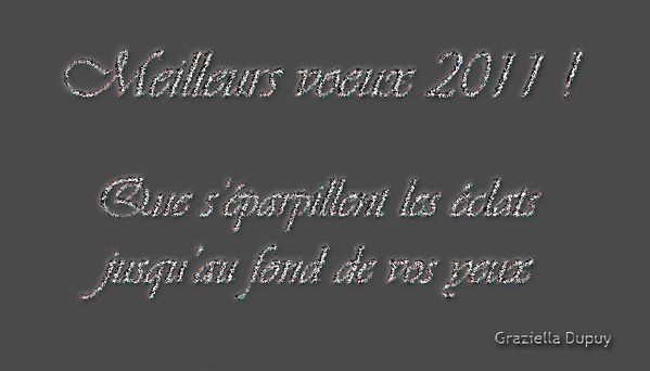 modele-brun-fonce-ARGENT-----.jpg