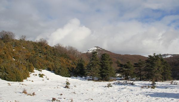 2013-12-29 Pierre Chauve 006