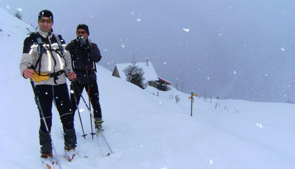 col POUTA 003
