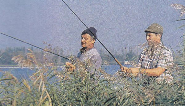 limouzin3.jpg
