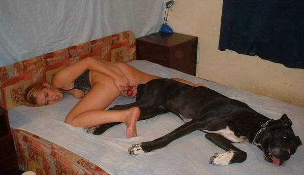 homme de sexe sexe ama homme de sexe sexe ama