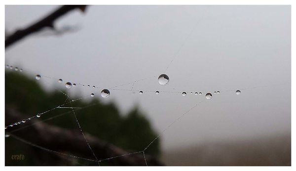 14nov2011-brouillard-gouttes-ciel-017ab.jpg