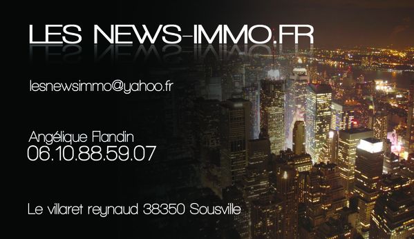 VistaPrint CarteDeVisite newimmo1