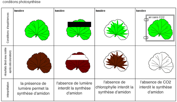 conditions rédigées