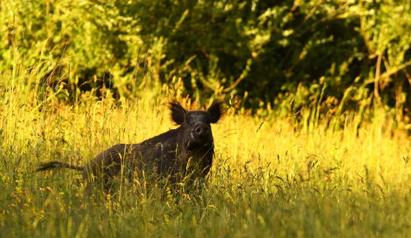 Rencontres fortuites citations