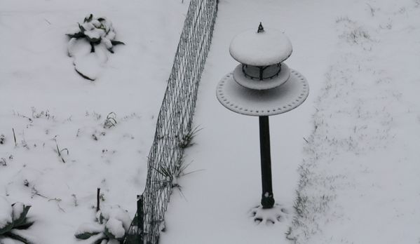 Photographie 0219