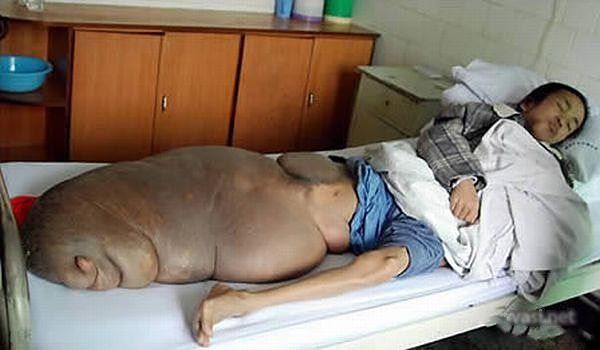 GORDO SENO gordo seno: