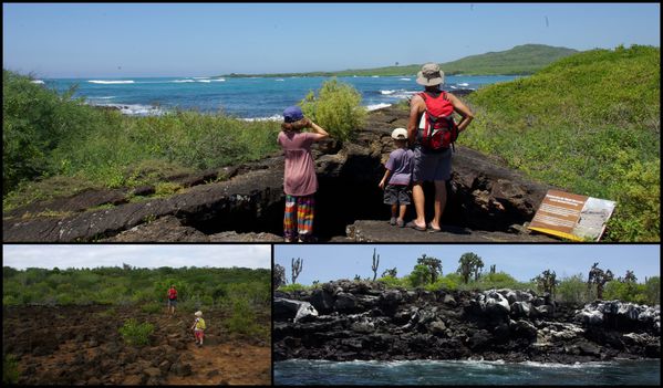 galapagos paysages de lave