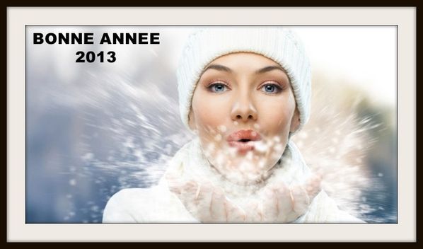 BONNE-ANNEE-2013.jpg
