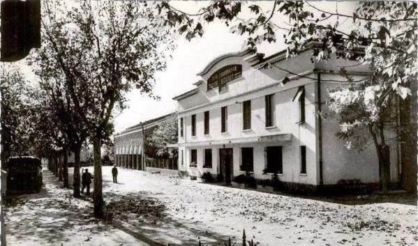 coope-Bizanet-00.jpg