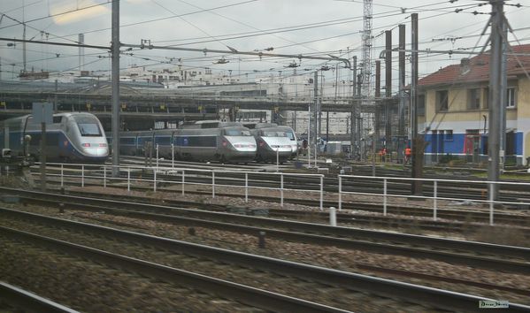 2011 Train 01
