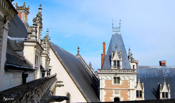 Chateau-de-Blois 0059