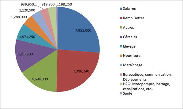 Depenses2011
