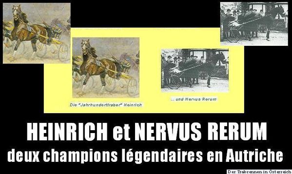 Heinrich-et-Nervus-Rerum-copie-1.jpg