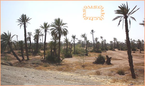 Photos Marrakesh 084