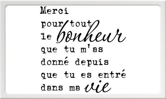Merci-pour-tout-le-bonheur-----156-2-big-www-desmotsenscrap
