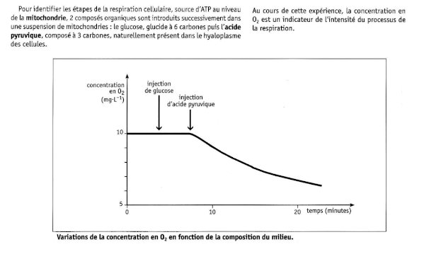 2eme-etpae.gif