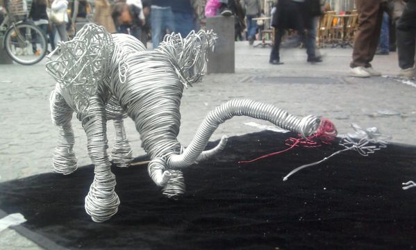 elephant