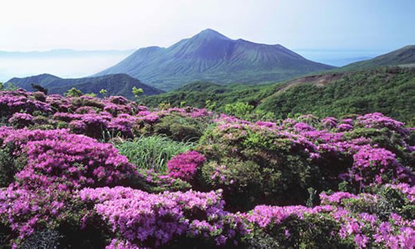 photo_kirishima---Nat.park.jpg