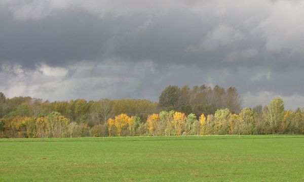 nov.10-015.JPG