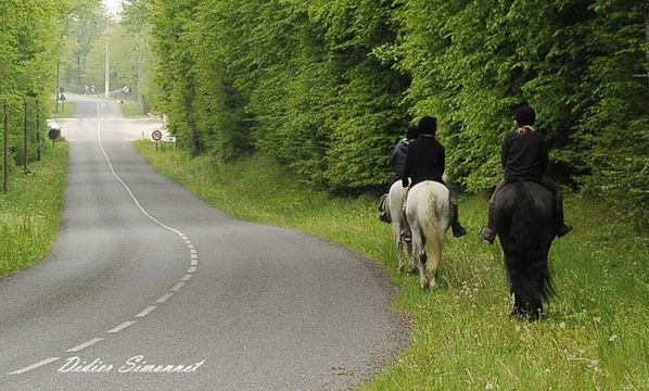 MONTAIGUILLON------------.JPG