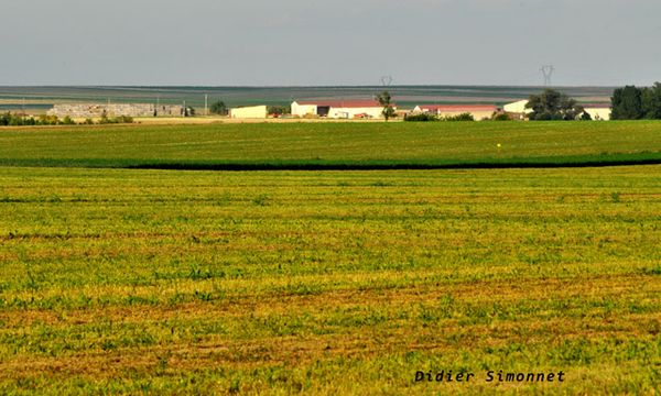 _5335-Ecury-le-Repos.jpg