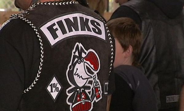 The Finks MC 010 11 colors finks www.abc.net.au