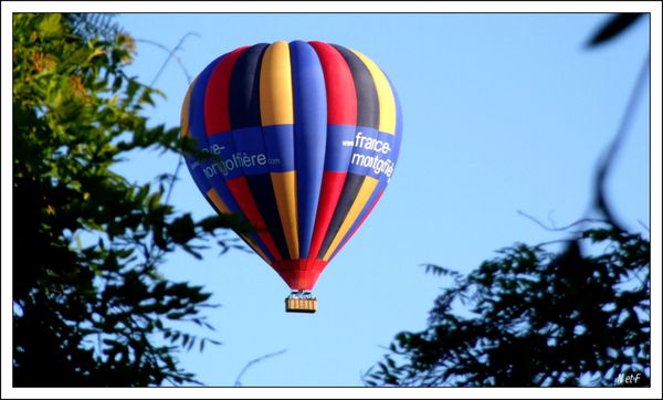 DSCF2139.JPG