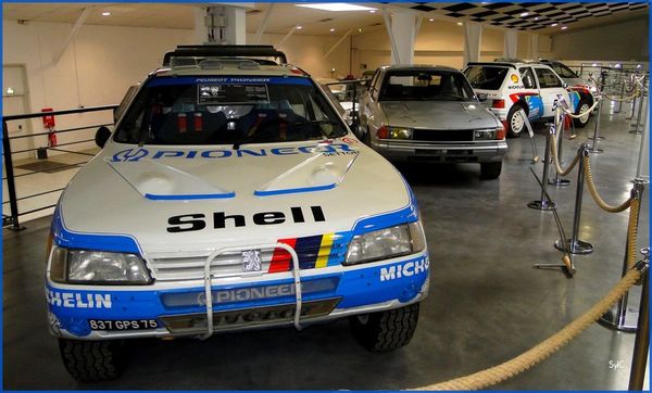 Expo Rallye Musée Peugeot 2014-01