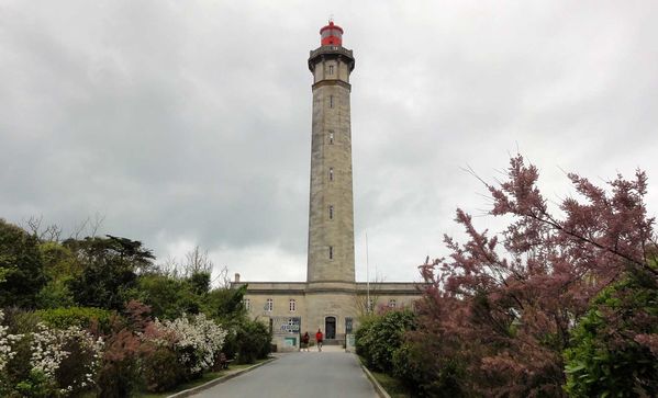 Le phare des baleines