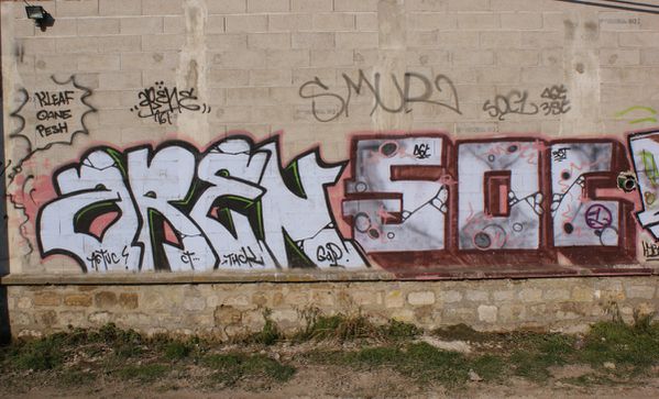 303 mur 77150 Lesigny