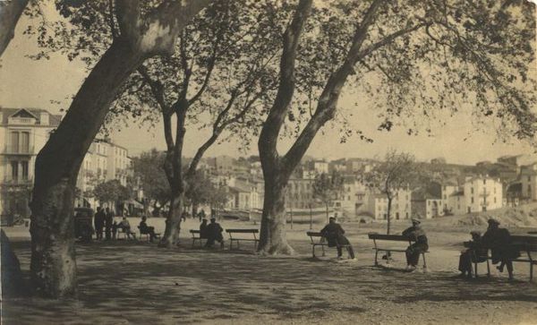 017-1920-.jpg